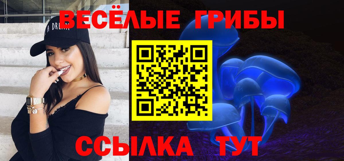 Галлюциногенные грибы Cubensis Клин