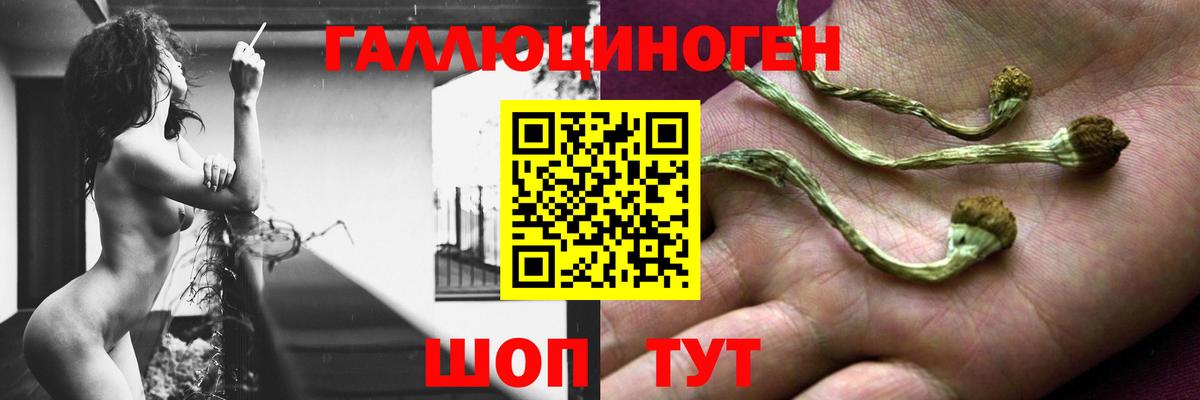 Галлюциногенные грибы мицелий  цены   Клин  Вход с VPN 